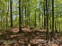 0 Smoky View Drive sold home in Bryson City, SC