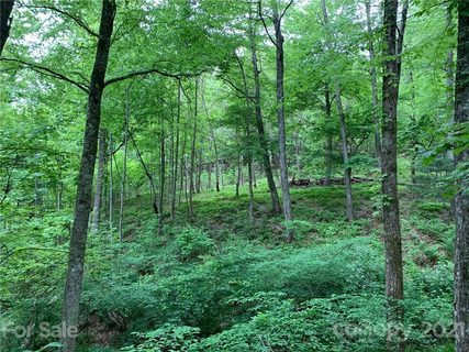 Tbd Soapstone Creek Drive 14 sold home in Soapstone Creek Estates, Arden, NC