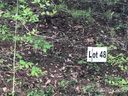 263 Falling Leaves Lane sold home in Hendersonville, SC