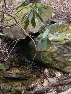 Lot 58 Lost Panther Road