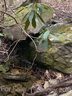 Lot 58 Lost Panther Road sold home in Brevard, SC