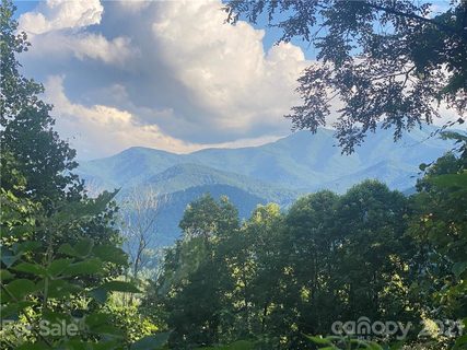 80 Holly Ridge Road 28 sold lot in Holly Ridge, Candler, NC
