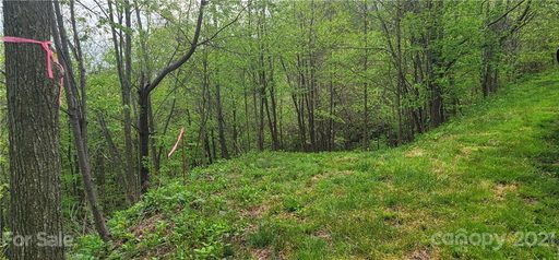 114b Chimney Ridge Trail