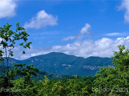 0 Stonecrest Parkway 27 sold lot in Stonecrest, Mill Spring, NC