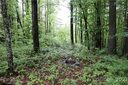 0 Birch Lane 32 sold home in Rosman, SC