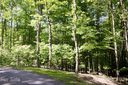 000 Hickory Springs Road 4-B/2 sold home in Burnsville, SC