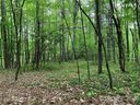 Lot 213 Walnut Ridge Road sold home in Brevard, SC