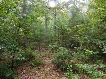 00 Maple Spring Court Lot#16