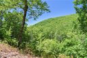 99999 Red Oak Forest Lane 1405 sold home in Fairview, SC