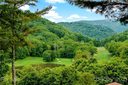 309 Smokey View Drive 14 sold home in Newland, SC