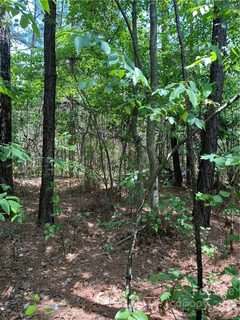 0 Landon Avenue 5 sold lot in Lake Acres, Hickory, NC