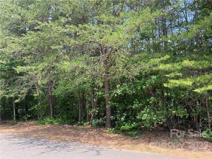 0 Landon Avenue 4 sold lot in Lake Acres, Hickory, NC