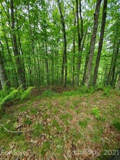 141 River Club Trail active lot in French Broad Crossing, Marshall, NC