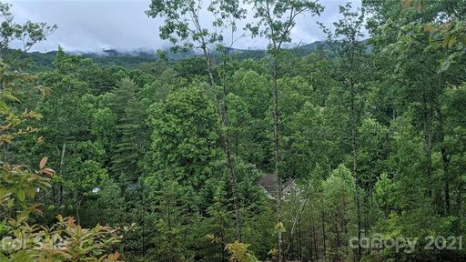427 Jonathan Creek Drive 19 sold lot in Jonathan Creek, Etowah, NC