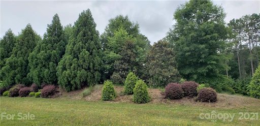 Lot 29 Rea Road #29