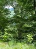 Lot 19 Flowing Hills Drive sold home in Clyde, SC
