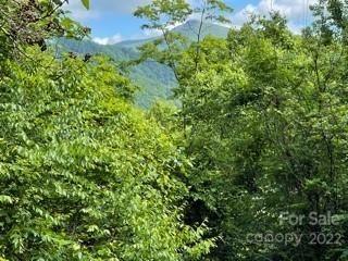 Lot 20 Winfield Drive sold home in Winfield Estates, Clyde, NC