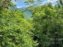 Lot 20 Winfield Drive sold home in Clyde, SC