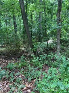 0 Deer Run Road 85