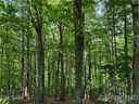 71 Turkey Trot Trail 16 sold home in Marshall, SC