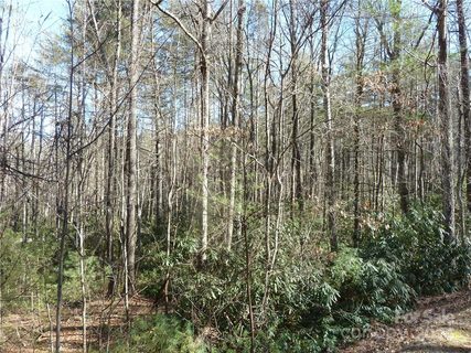 Homes in Round Mountain Falls, Rosman