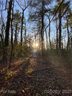 Lot 2a Dogwood Circle sold home in Penrose, SC