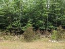 000 Meandering Lane 75 sold home in Lincolnton, SC