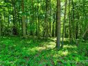 47 Trail Top Drive 52 sold home in Asheville, SC