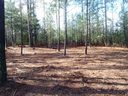 110 Rivercliff Drive 32 sold home in Connelly Springs, SC