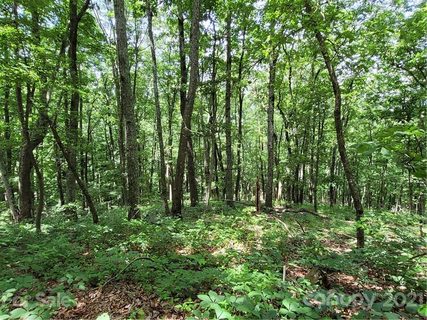 Lot 24 Miller Mountain Road sold home in Miller Mountain, Saluda, NC