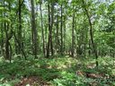Lot 24 Miller Mountain Road sold home in Saluda, SC