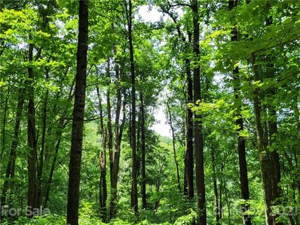Track 2 Miller Mountain Road sold home in Miller Mountain, Saluda, NC