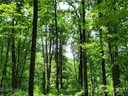 Track 2 Miller Mountain Road sold home in Saluda, SC
