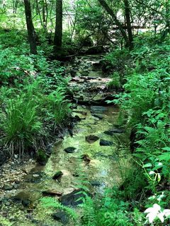 Tbd Breckenridge Trail sold lot in Whiskey Creek, Brevard, NC