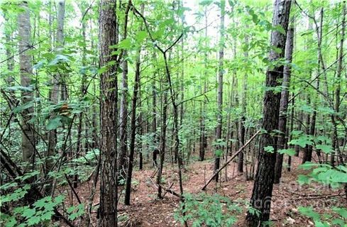 0 Chasewood Drive active home in Deer Run At Lake Lure, Rutherfordton, NC