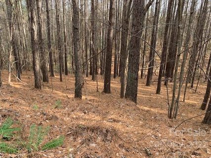 0 Chasewood Drive active home in Deer Run At Lake Lure, Rutherfordton, NC