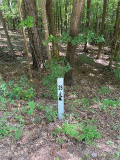 456 Countrywood Place sold lot in The Preserve at Cold Water Creek, Concord, NC