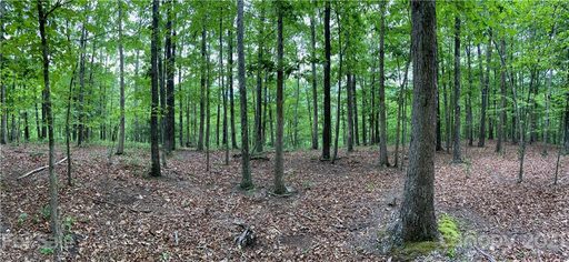 75 Wild Turkey Loop 31
