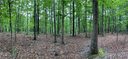 75 Wild Turkey Loop 31 sold home in Marshall, SC