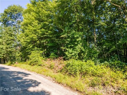00 Plott Balsam Road 2