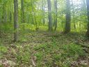 31 Sleigh Bell Trail Lot 31 sold home in Maggie Valley, SC