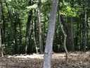 39 Windcliff Drive 93 sold home in Asheville, SC