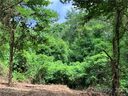 85 View Ridge Parkway sold home in Leicester, SC