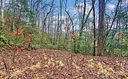361 Little Bit Trail sold home in Whittier, SC