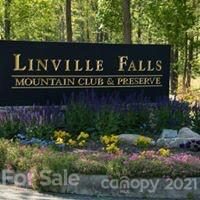 V L 4 Blue Ridge Drive