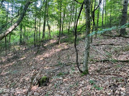 Lots 1 2 Jupiter Heights Lots 1 & 2 sold lot in Jupiter Heights, Weaverville, NC
