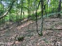 Lots 1 2 Jupiter Heights Lots 1 & 2 sold home in Weaverville, SC