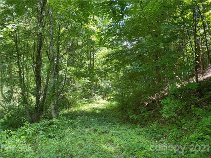000 Chattooga Run Lot 402