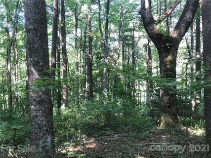 Tbd Severly Lane 339 sold lot in Happy Acres, Brevard, NC