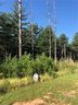 73 N Slope Drive 31 sold home in Nebo, SC